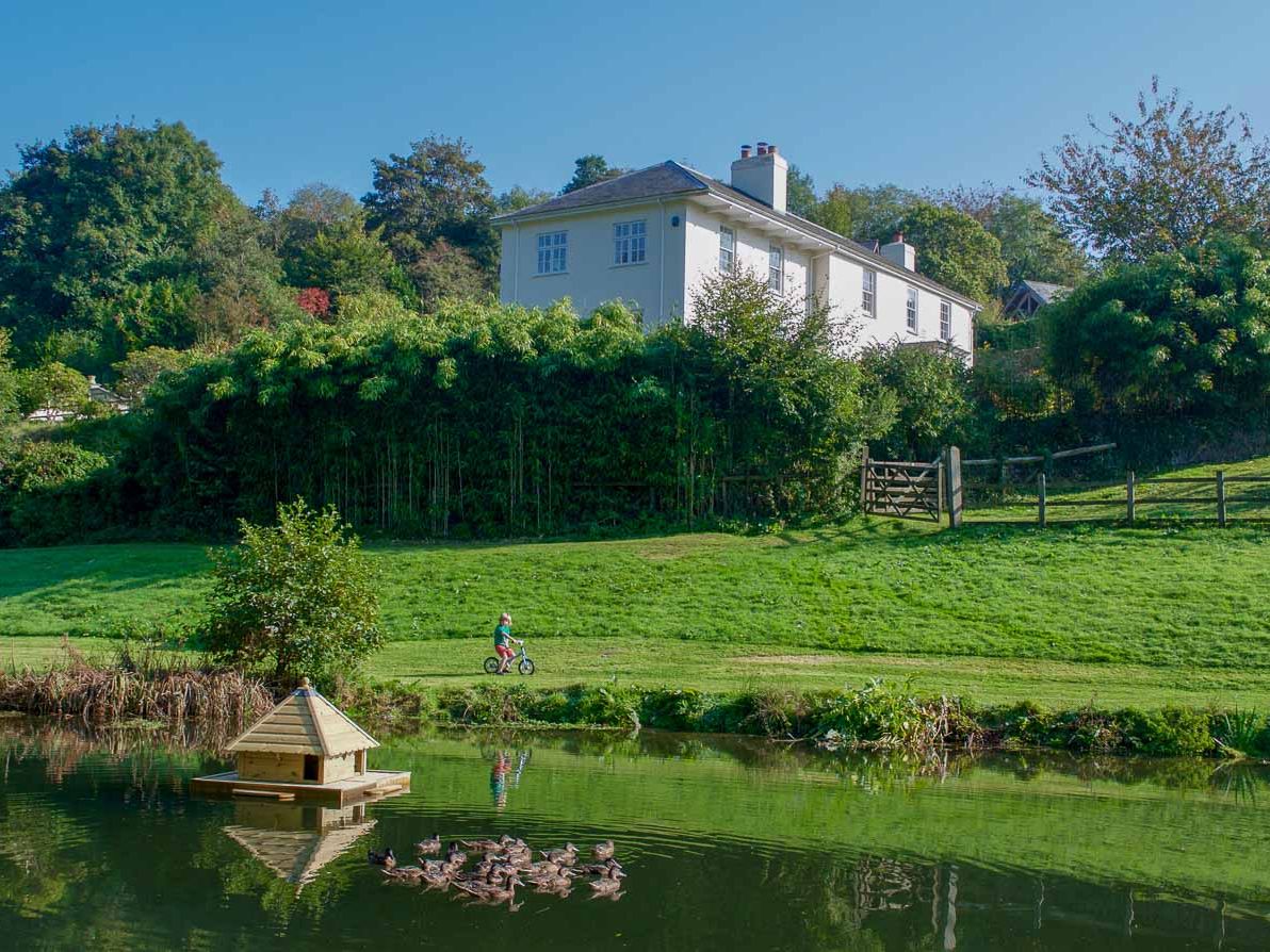 A scenic countryside view with a pond, a floating duck house, and a group of ducks. A child rides a bike on a grassy path, with a white house nestled among trees.