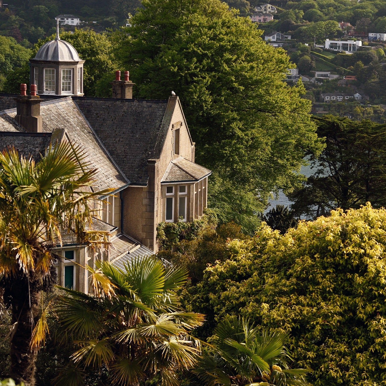Overbeck’s Garden in South Devon featuring dense greenery, palm trees, and a coastal view across the water to hillside villages.