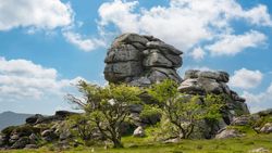 King's Tor, a rock formation resembling a human face stands against a bright blue sky with fluffy clouds, surrounded by green trees and grass in a rugged landscape.