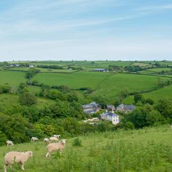 A scenic countryside view with rolling green hills, grazing sheep in the foreground, and a small village with stone buildings and a white house nestled among trees.