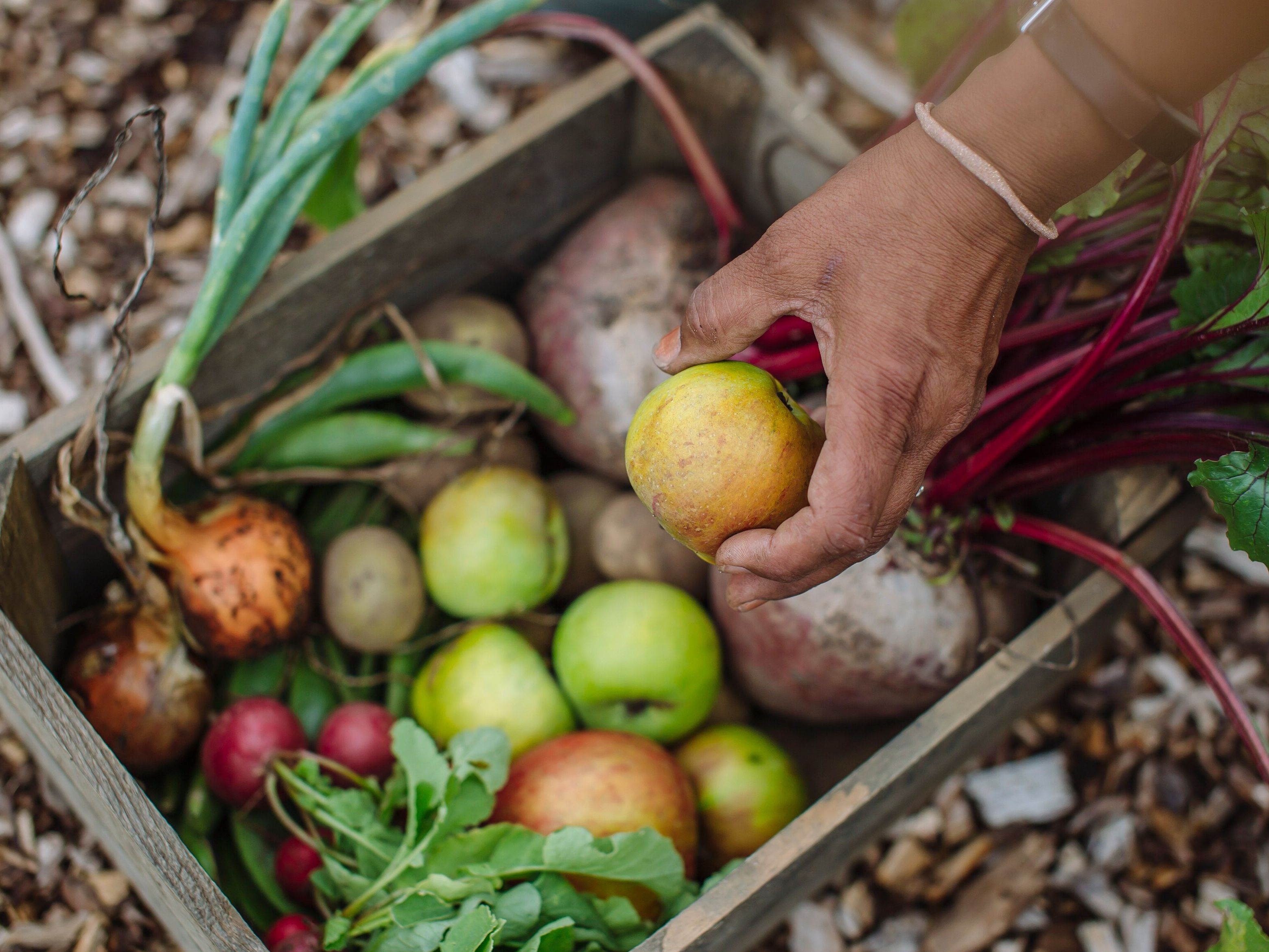 Rosemoor Fresh produce
