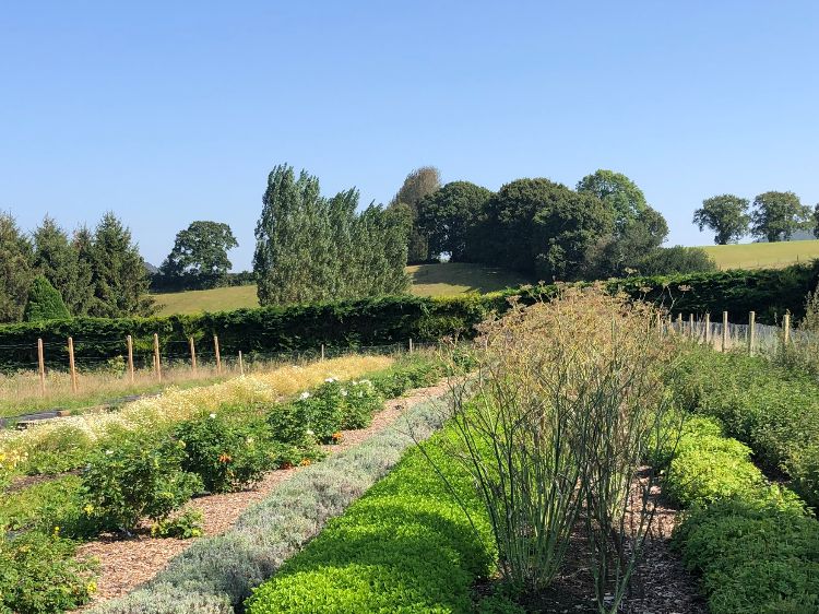 Gathered and grown herb beds