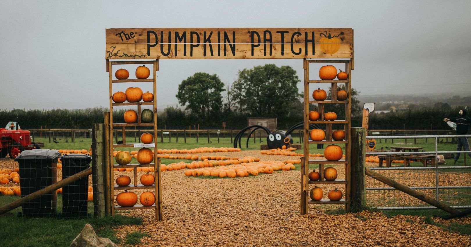 greendale farm shop pumpkin patch