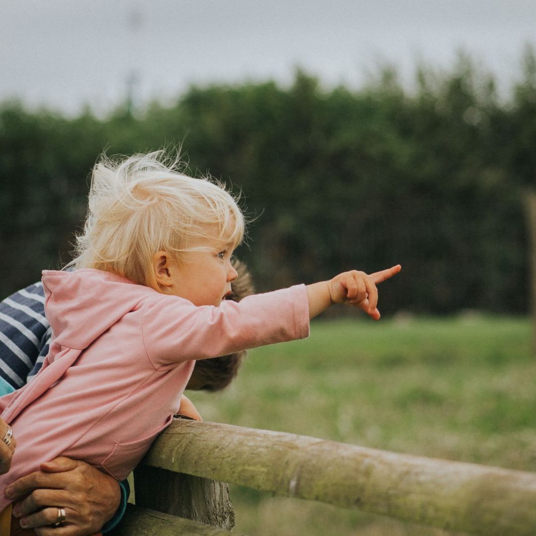 Young child in a pink hoodie pointing excitedly while being held by an adult at a wooden fence outdoors.