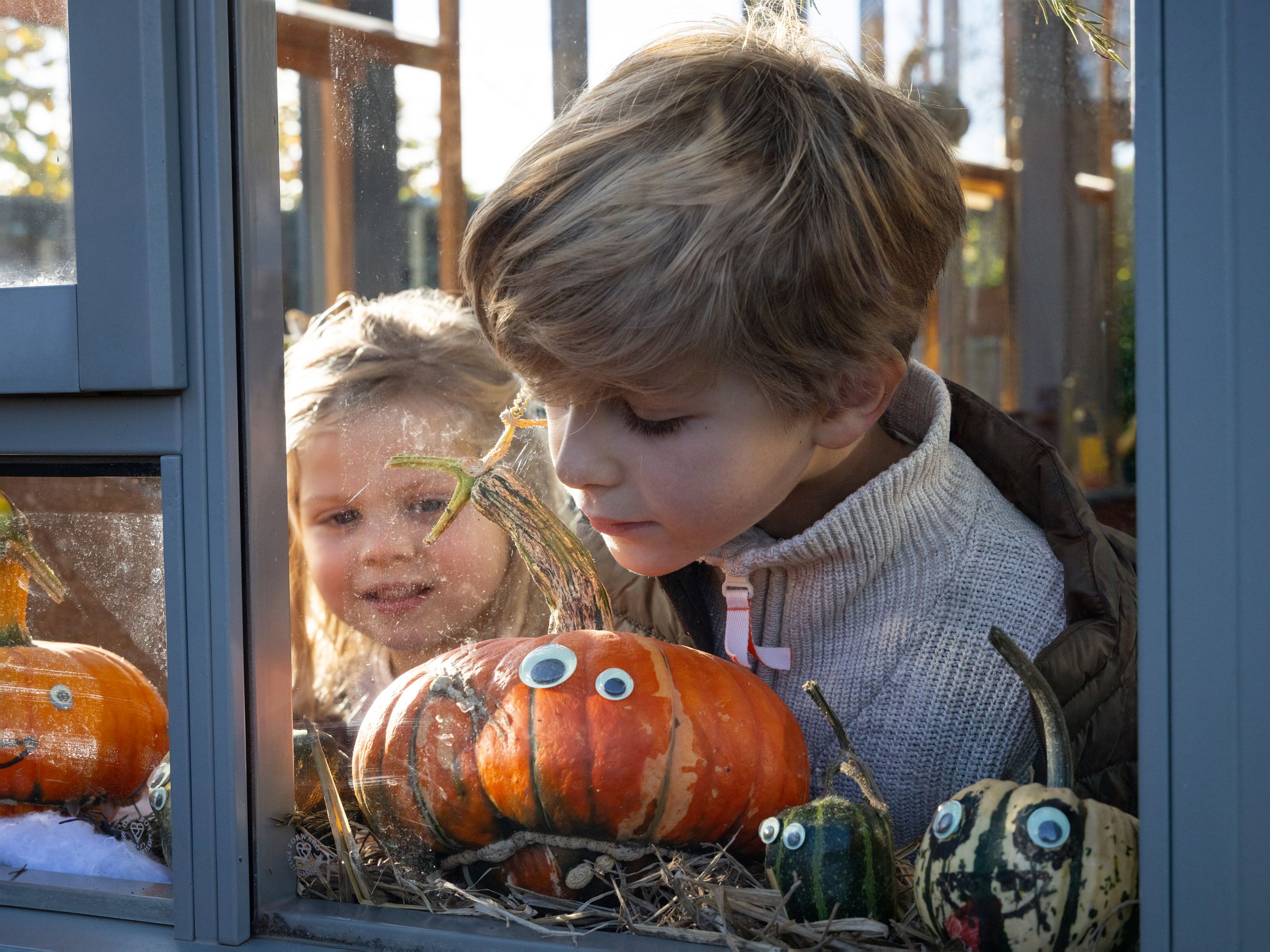 RHS Rosemoor pumpkin fun