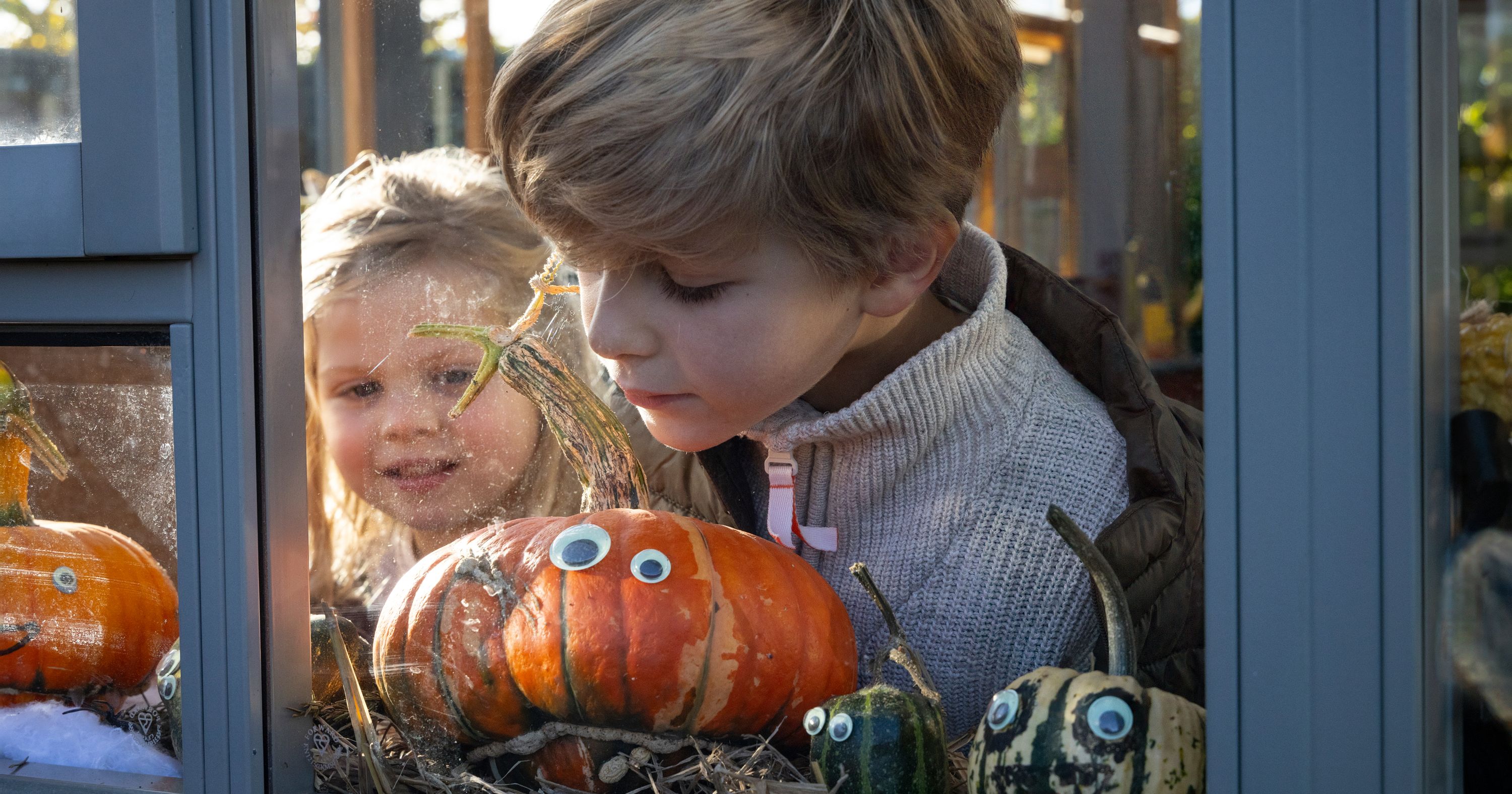 RHS Rosemoor pumpkin fun
