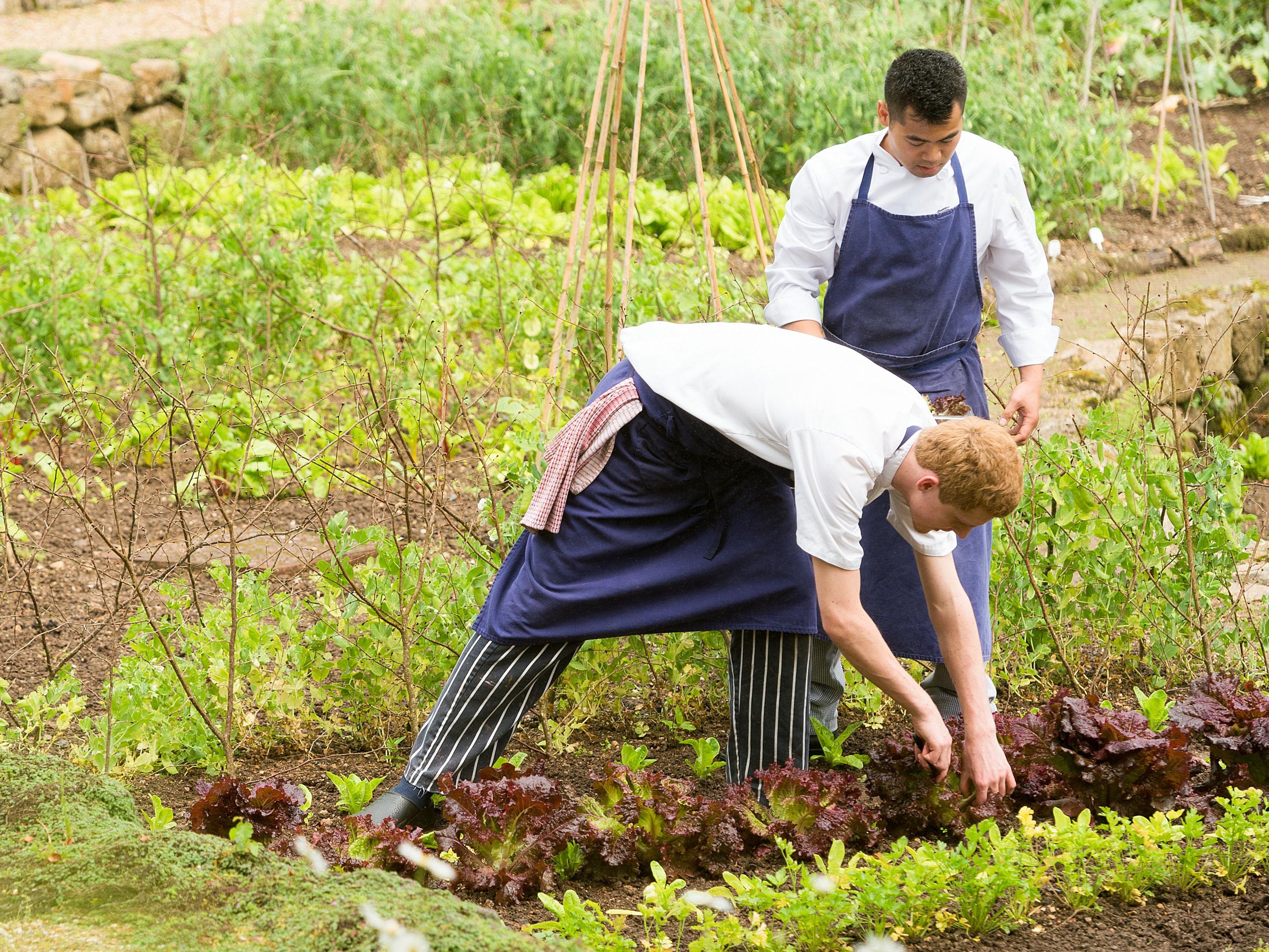 Gidleigh Park kitchen garden