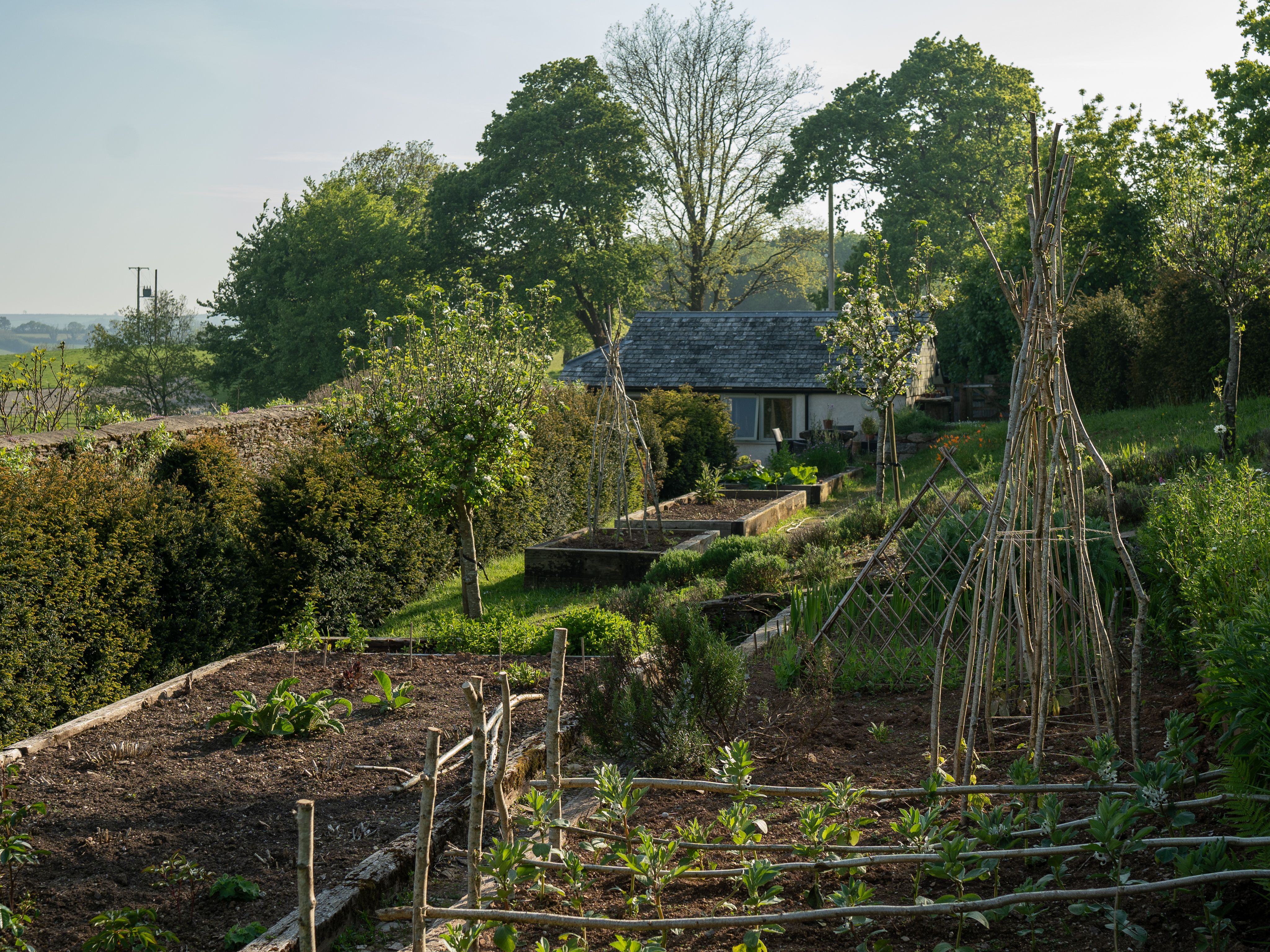 Shilstone kitchen garden
