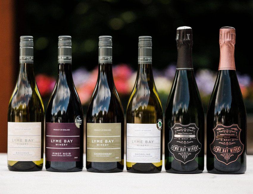 Six bottles of Lyme Bay Winery wines are lined up on a table outdoors, featuring varieties like Bacchus, Pinot Noir, Chardonnay, Shoreline, Reserve Brut, and Rosé Brut.
