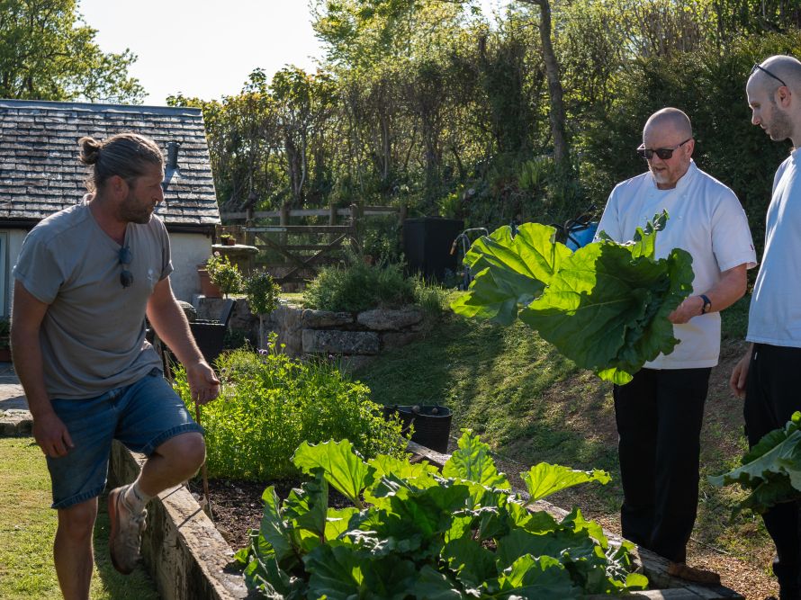 Shilstone kitchen garden
