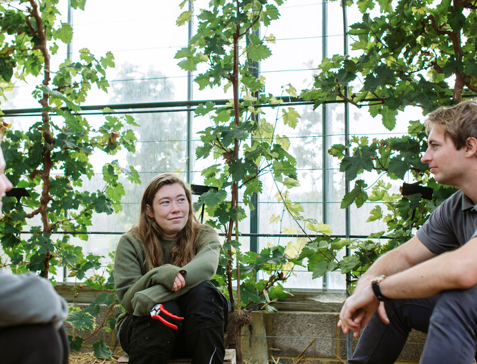 Rosemoor Green Skills