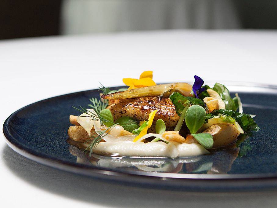 Salutation supper clubs