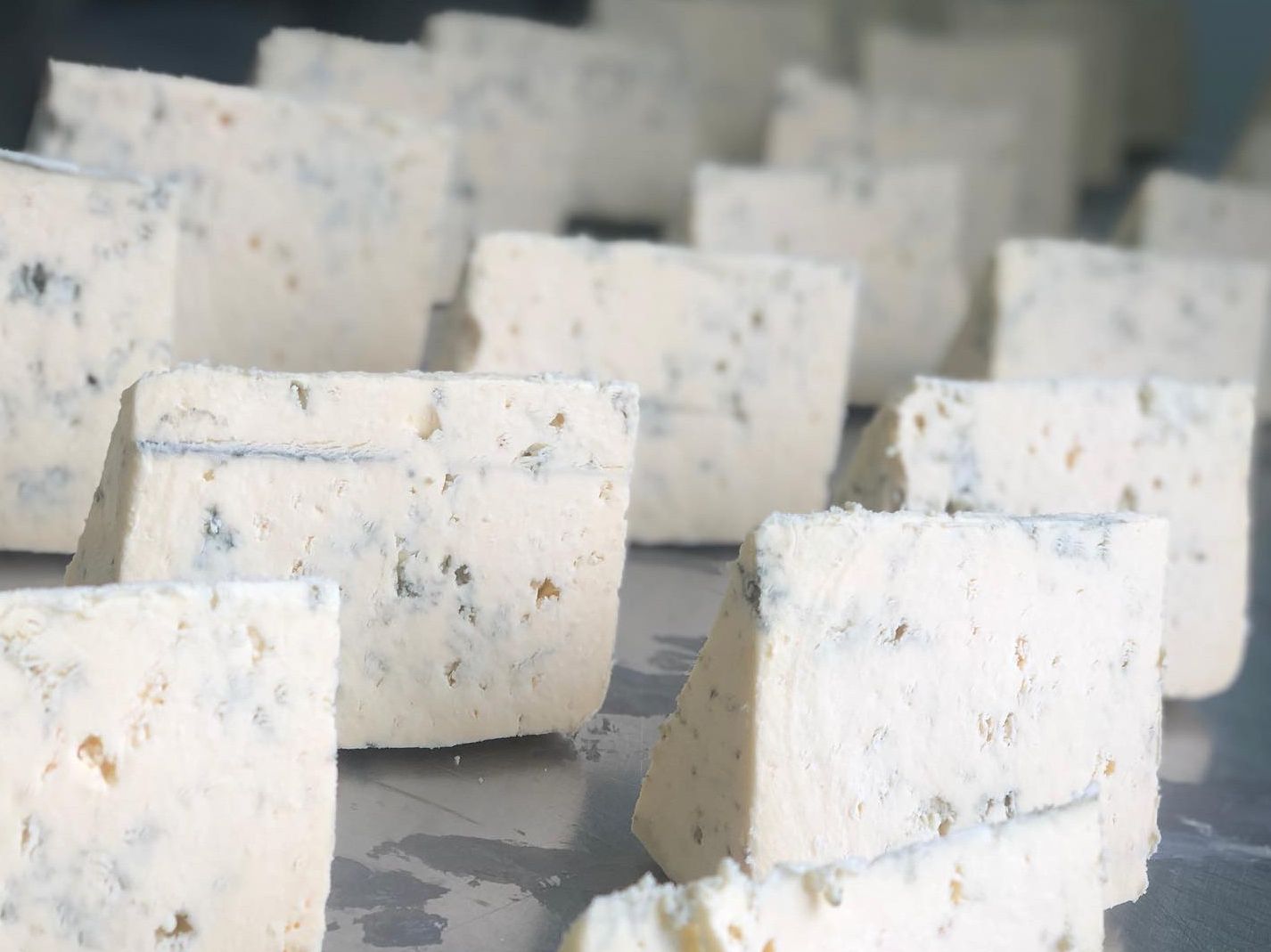 Close-up of white and blue-veined cheese cubes arranged on a metal tray