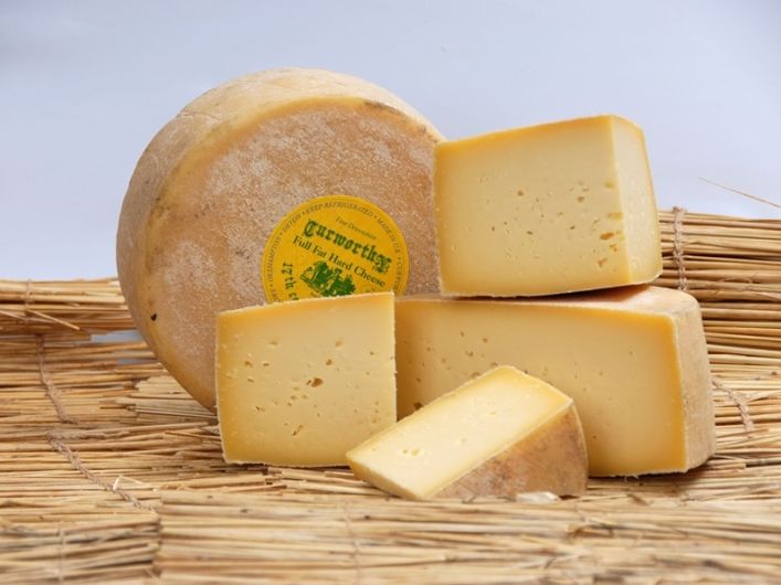 Curworthy farmhouse hard cheese wheel with cut wedges on straw mat