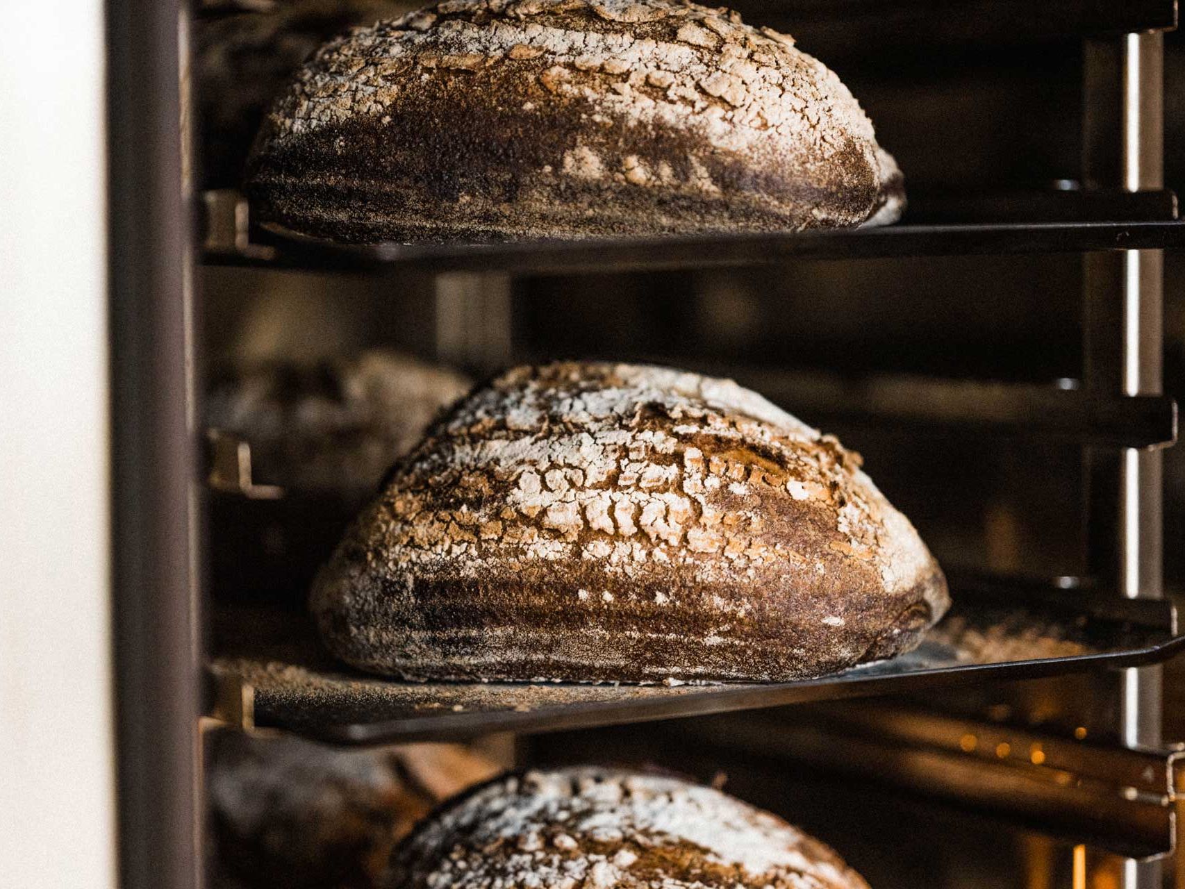 Crusty, flour-dusted artisan loaves resting on metal baking trays in a rack