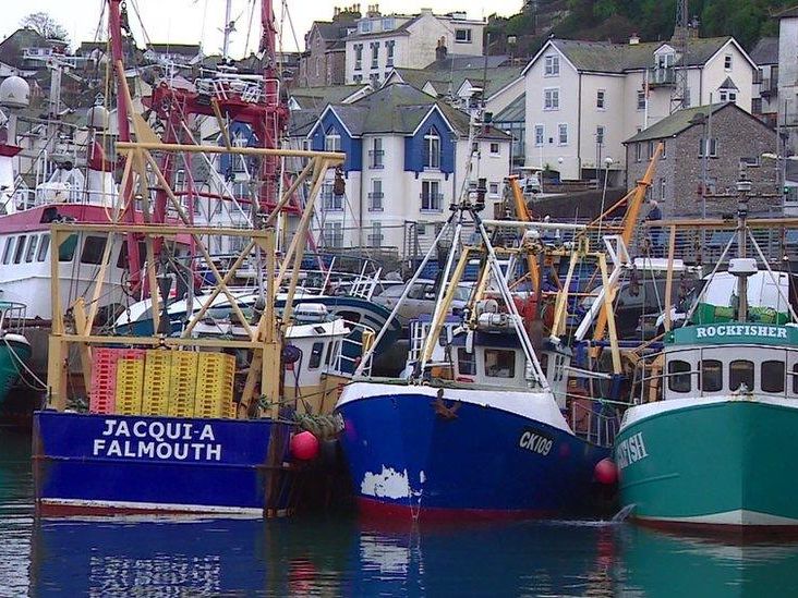 Fishing boats moored in a harbour with hillside houses in the background