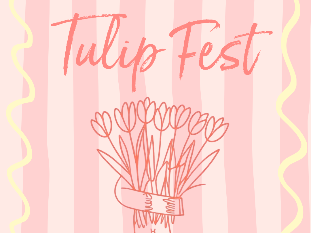 TULIP FEST POSTER Darts Farm
