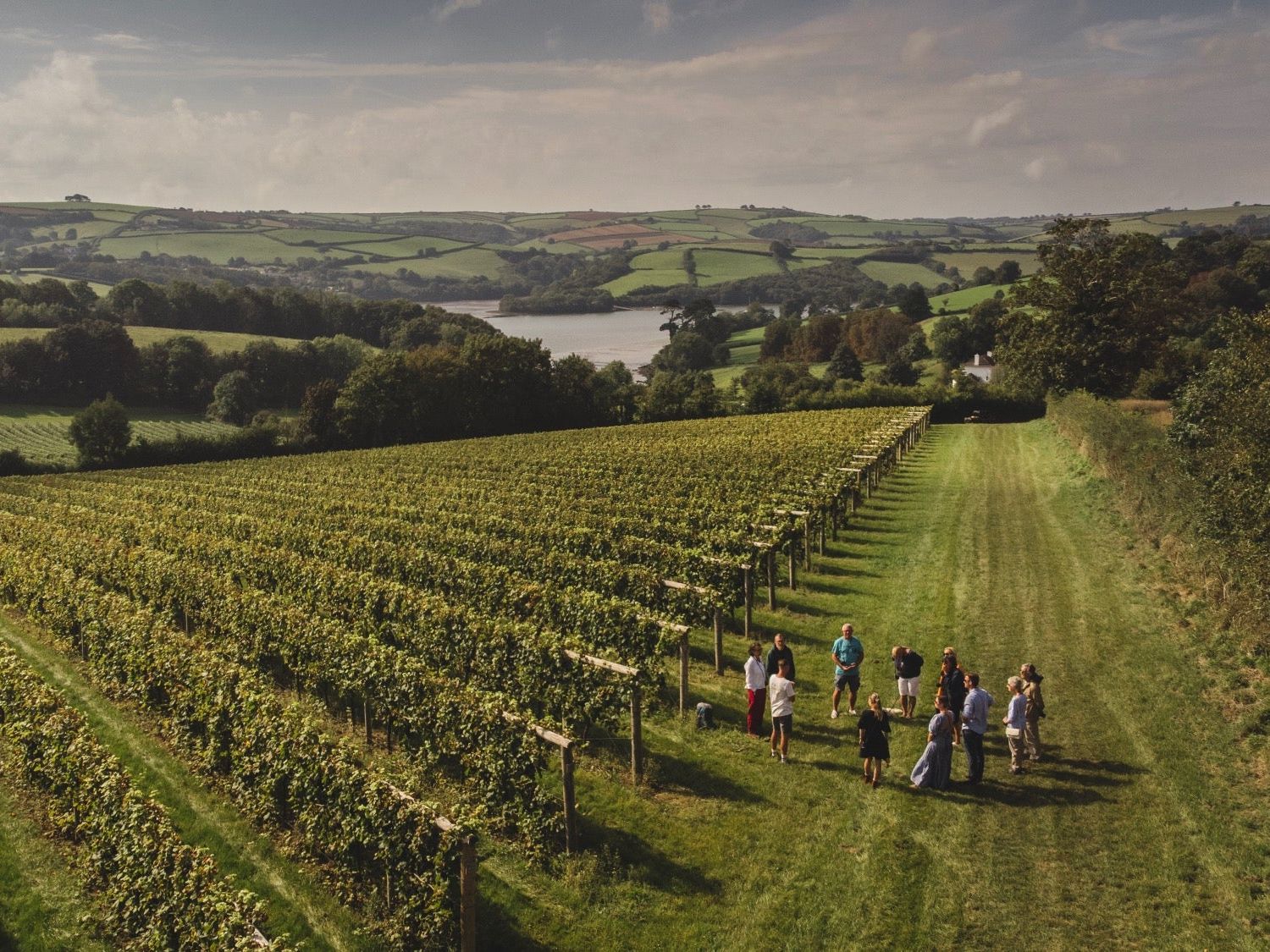 Vineyard rows on a hillside with a small group of people gathered on a grassy track, overlooking patchwork countryside and a river valley.