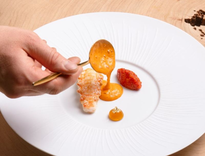 Boringdon LANGOUSTINE-Espelette-saffron_acleaf_summer26-4 - Medium
