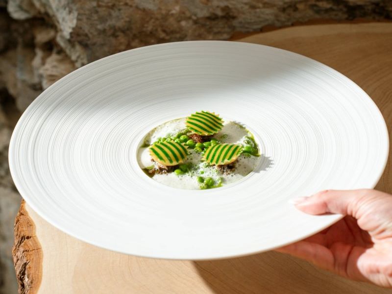 Boringdon RICOTTA-English_pea-Penja_pepper_acleaf_summer26-9 - Medium