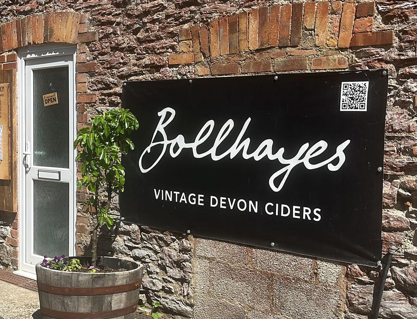 bollhayes sign