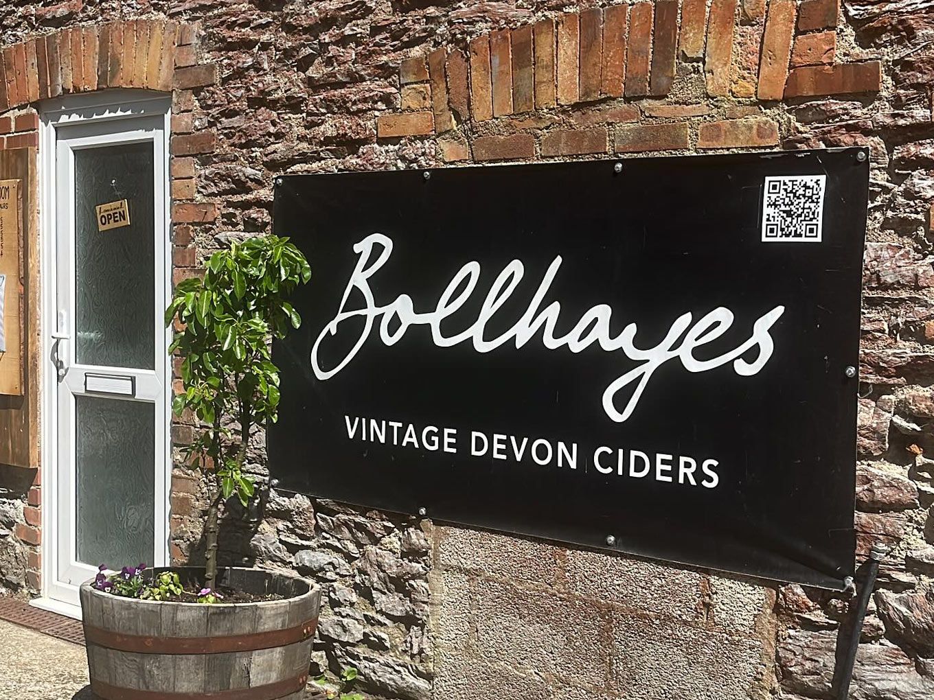 bollhayes sign