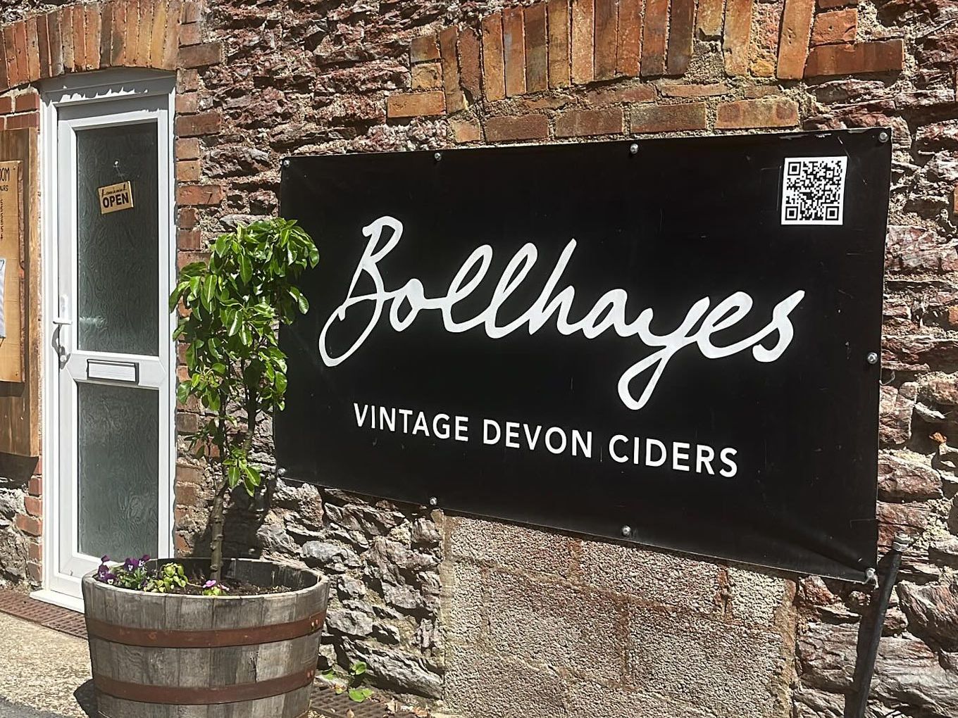 bollhayes sign