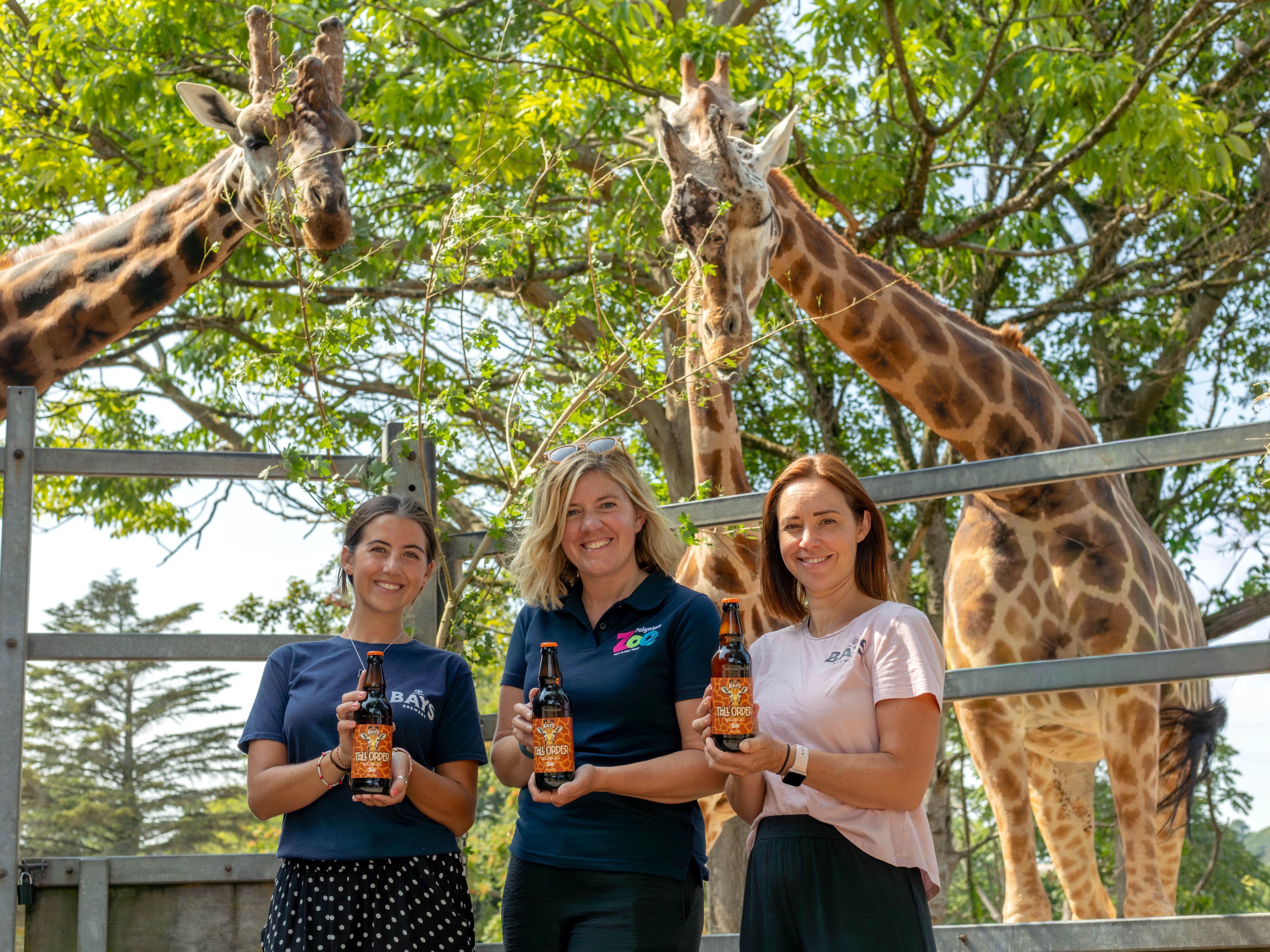 Three staff from Bays Brewery and Paignton Zoo holding bottles of charity ale called Tall Order and standing in front of two full sized giraffes