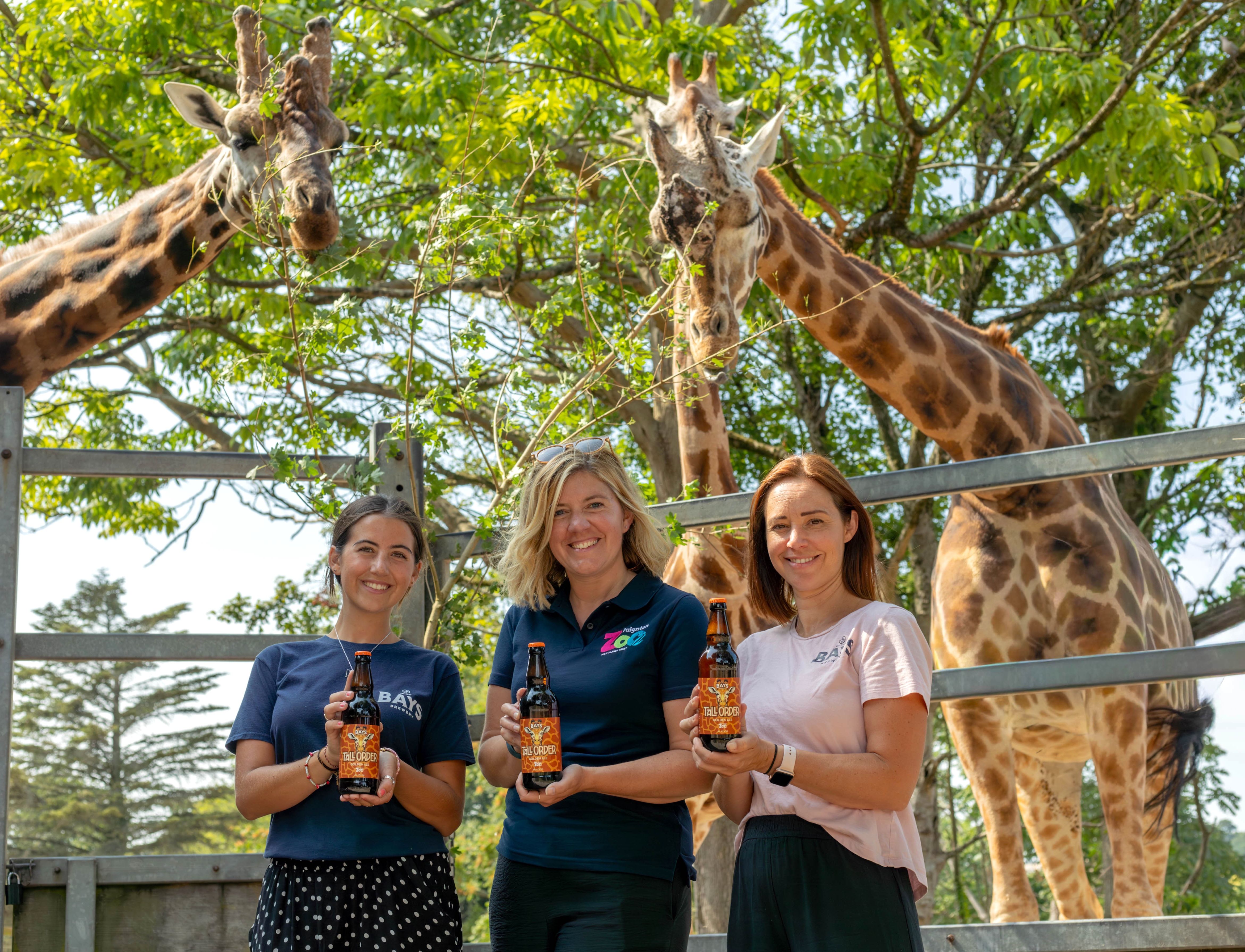 Three staff from Bays Brewery and Paignton Zoo holding bottles of charity ale called Tall Order and standing in front of two full sized giraffes