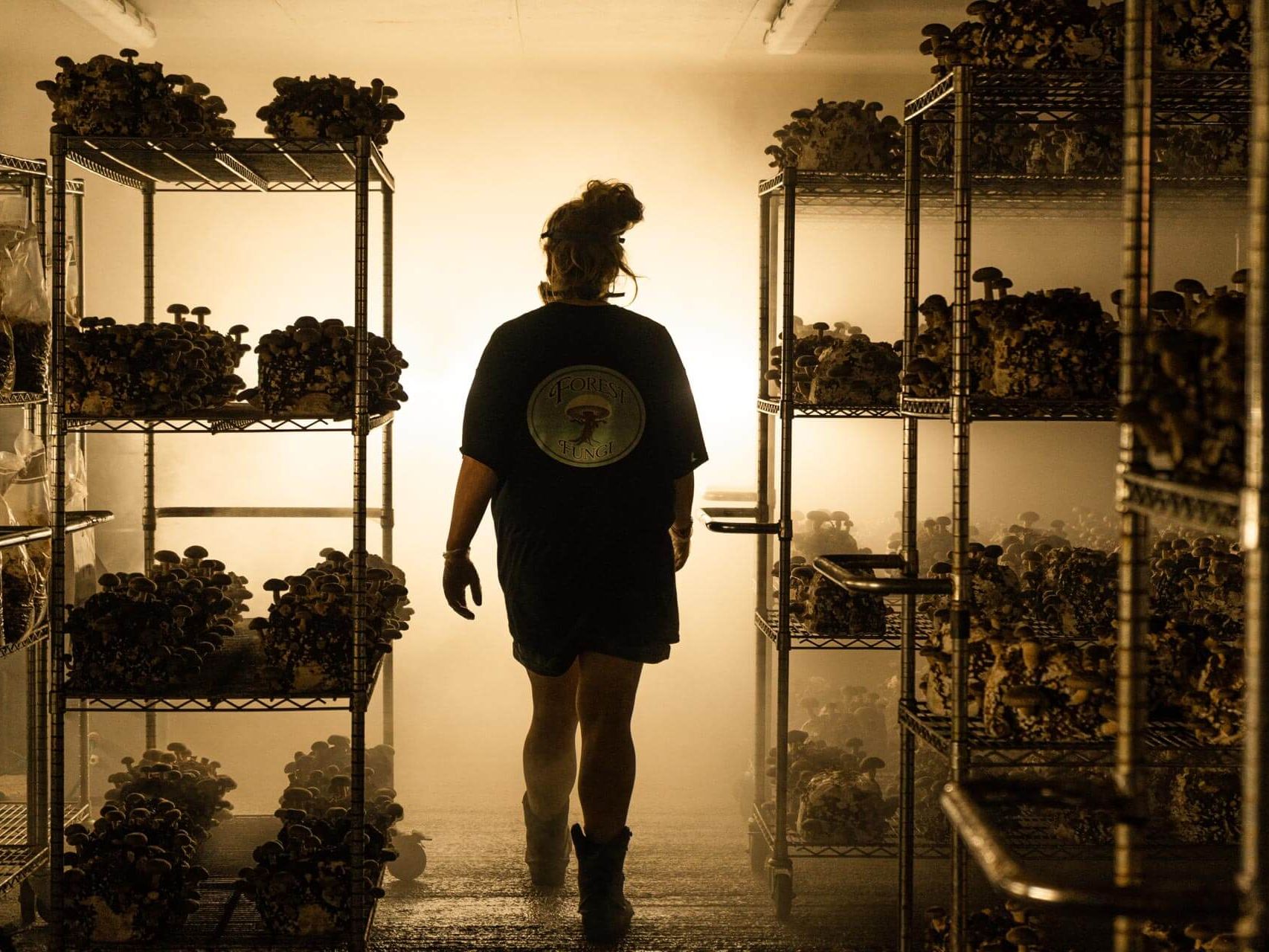 Forest Fungi mushroom growing room