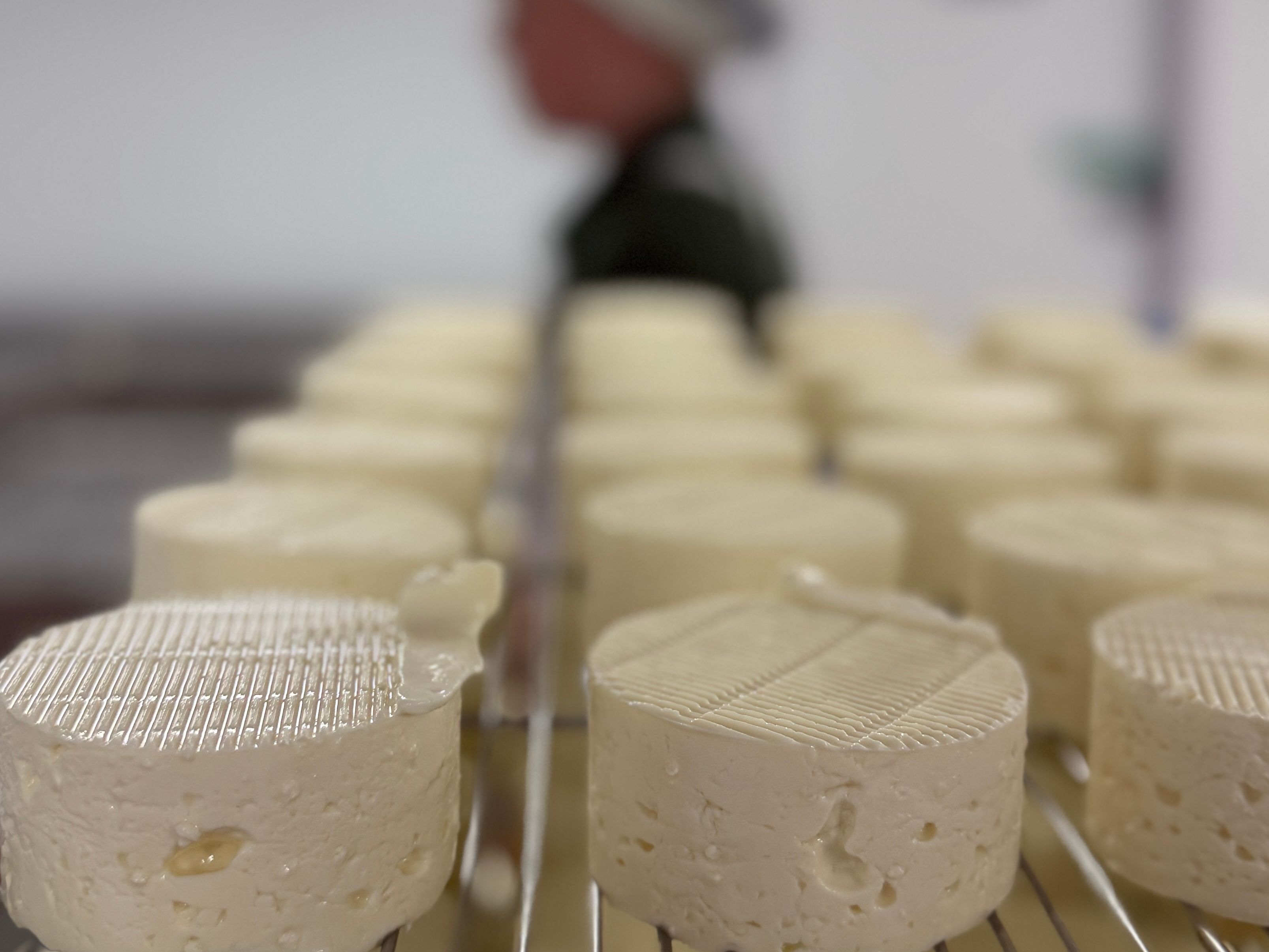 Sharpham Cheese Dairy