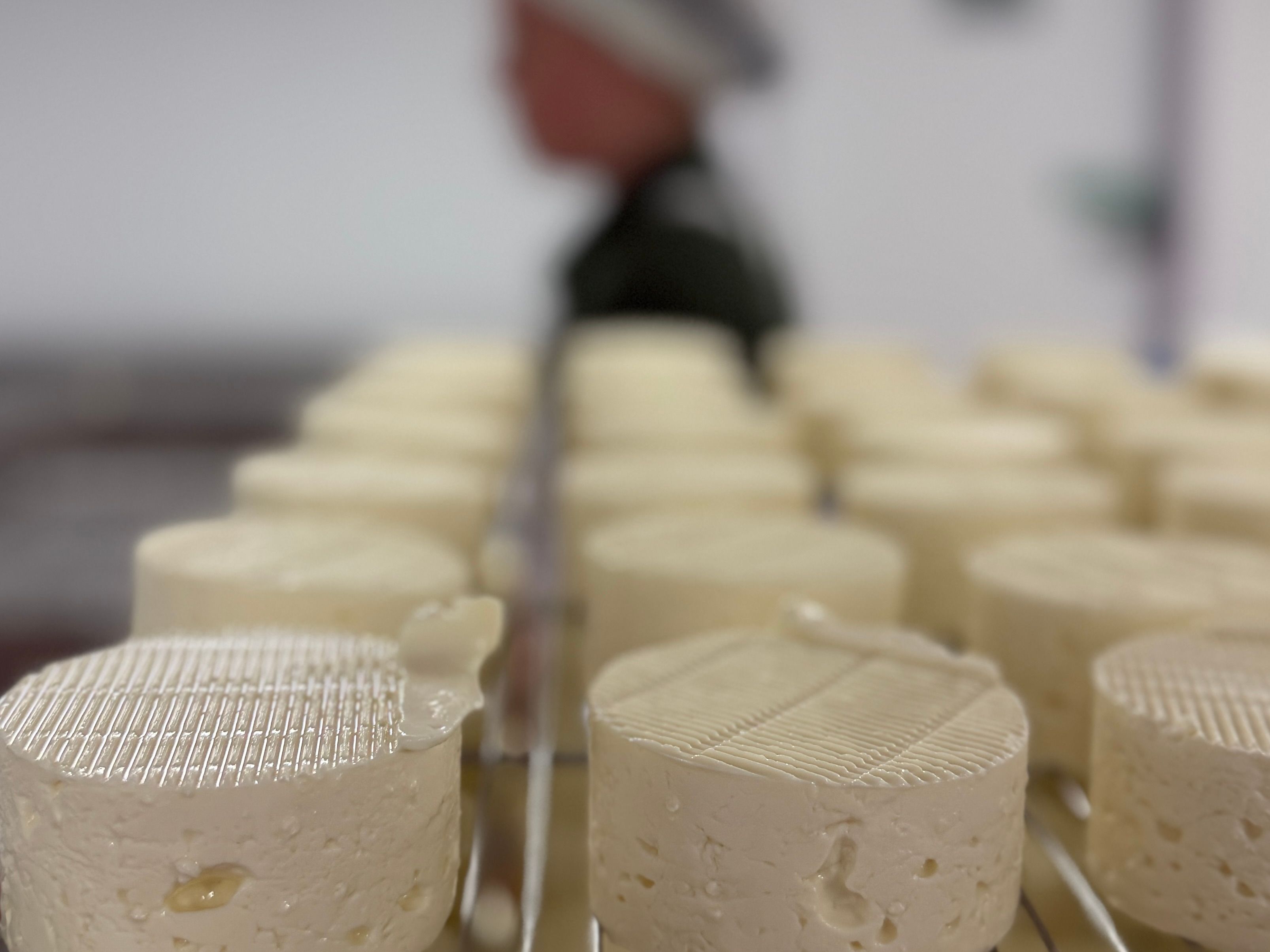 Sharpham Cheese Dairy