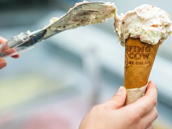 surfing cow_Gelato ice cream cone