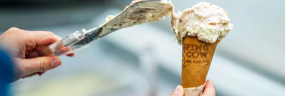 surfing cow_Gelato ice cream cone