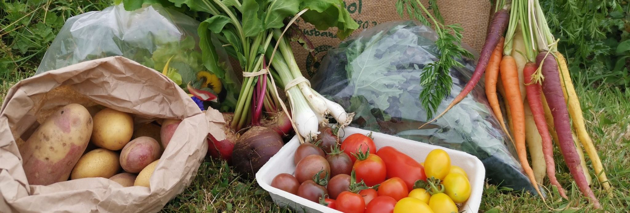 Husbandry School Veg Bags