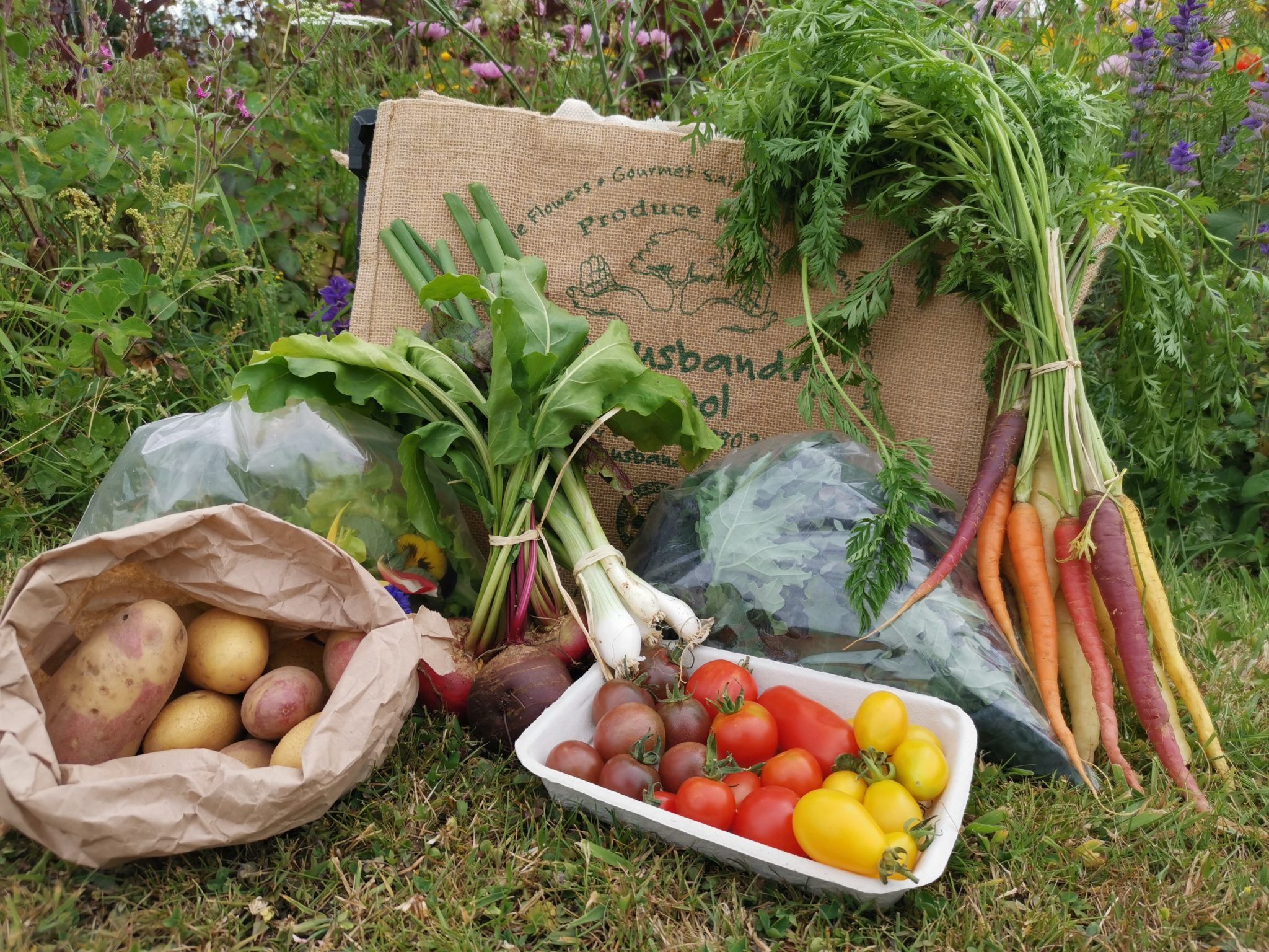 Husbandry School Veg Bags