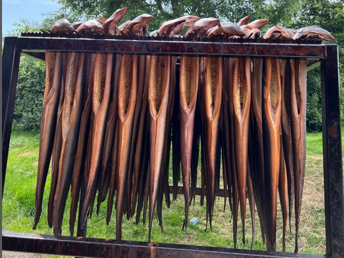 Meadowland Smokery Devon Eel hanging on a smoking rack