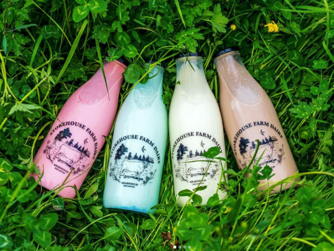 Stokehouse Farm Dairy milk and milkshakes four colourful bottles of milk lying on green grass