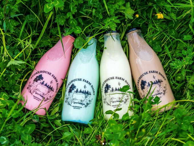 Stokehouse Farm Dairy milk and milkshakes four colourful bottles of milk lying on green grass