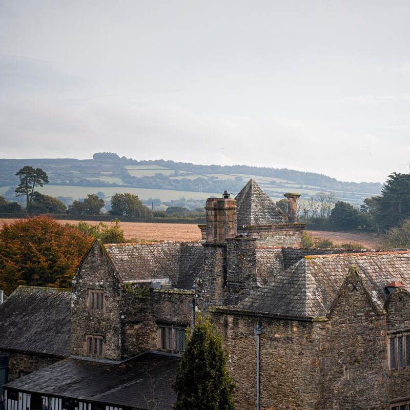Boringdon Hall view over rooftops