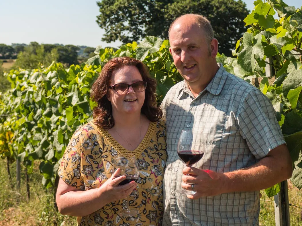 torview wines