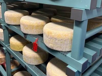 Curworthy Cheese Woolworthy