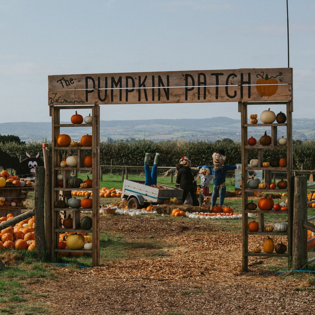 greendale pumpkin patch