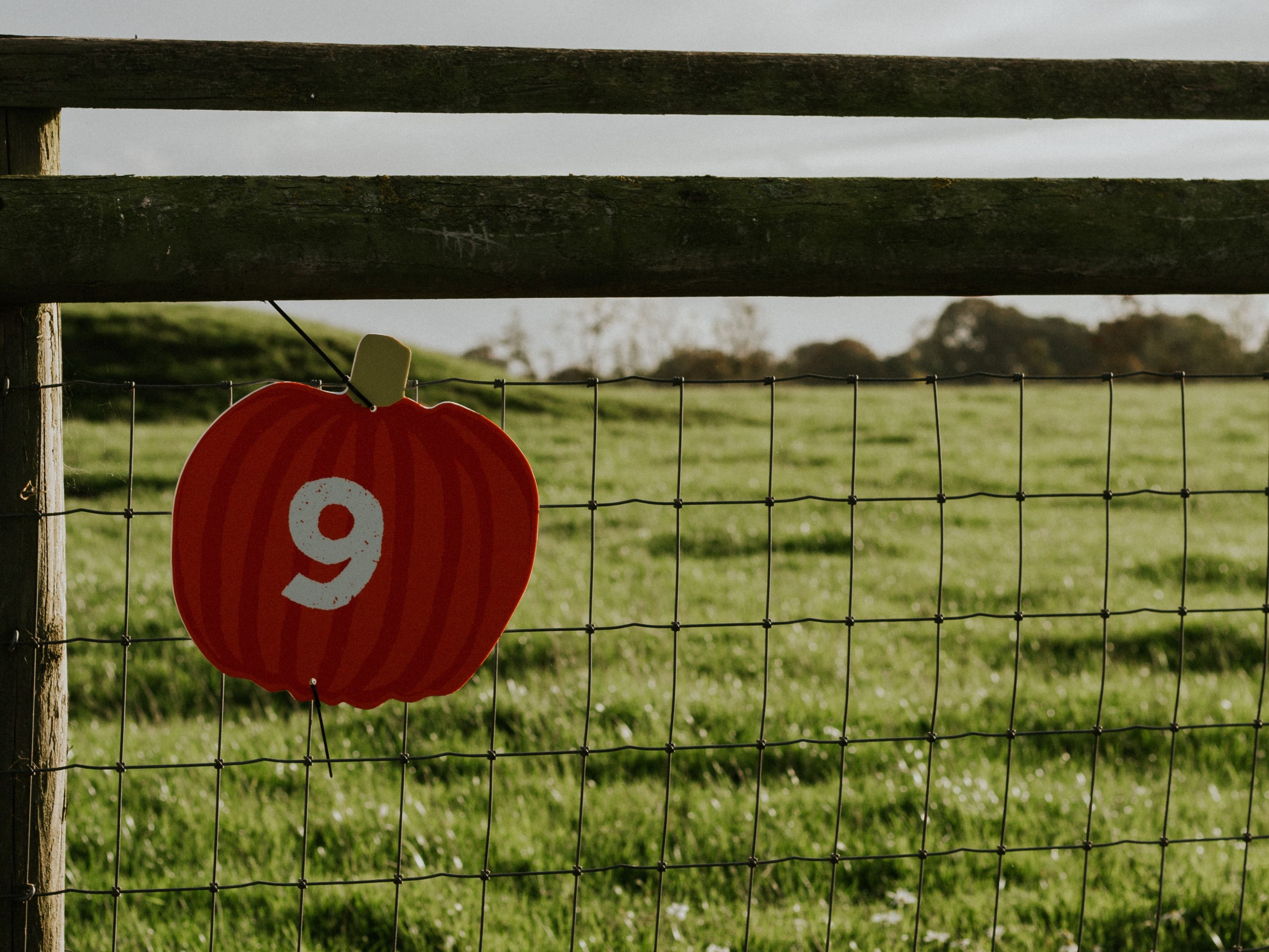 greendale pumpkin trail