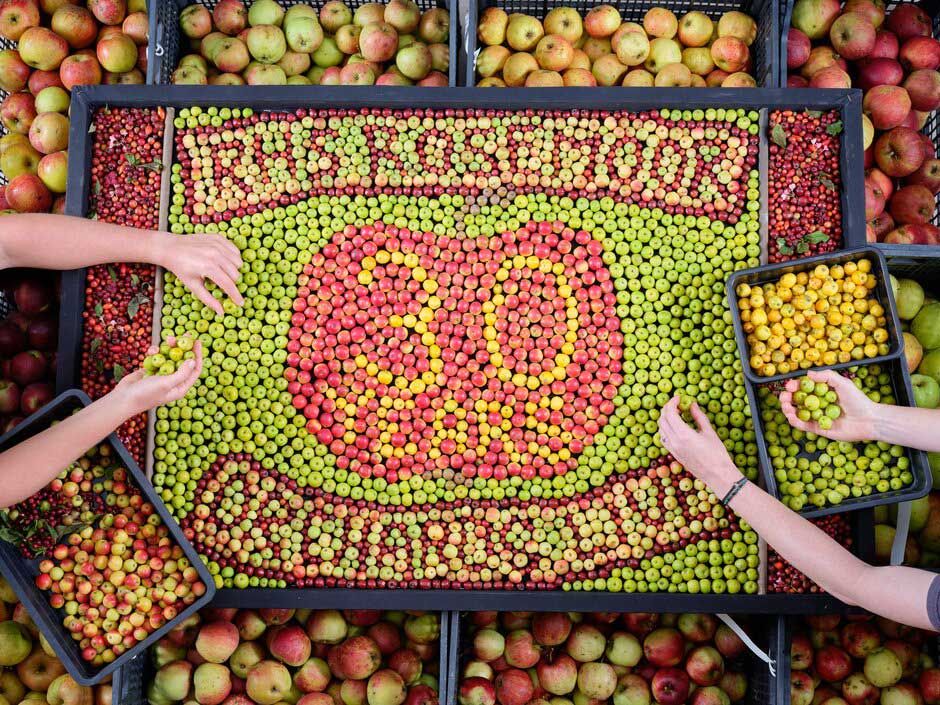 rhs-rosemoor-apple-display