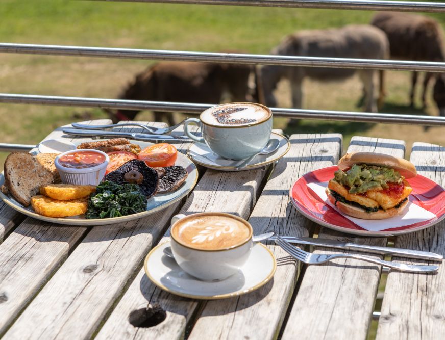 DonkeySanctuary_Kitchen_May2025_7160-2
