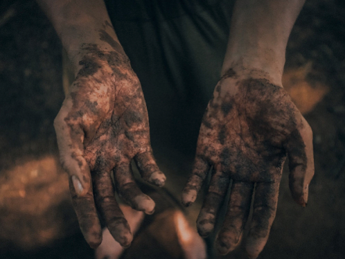 Six inches of soil hands