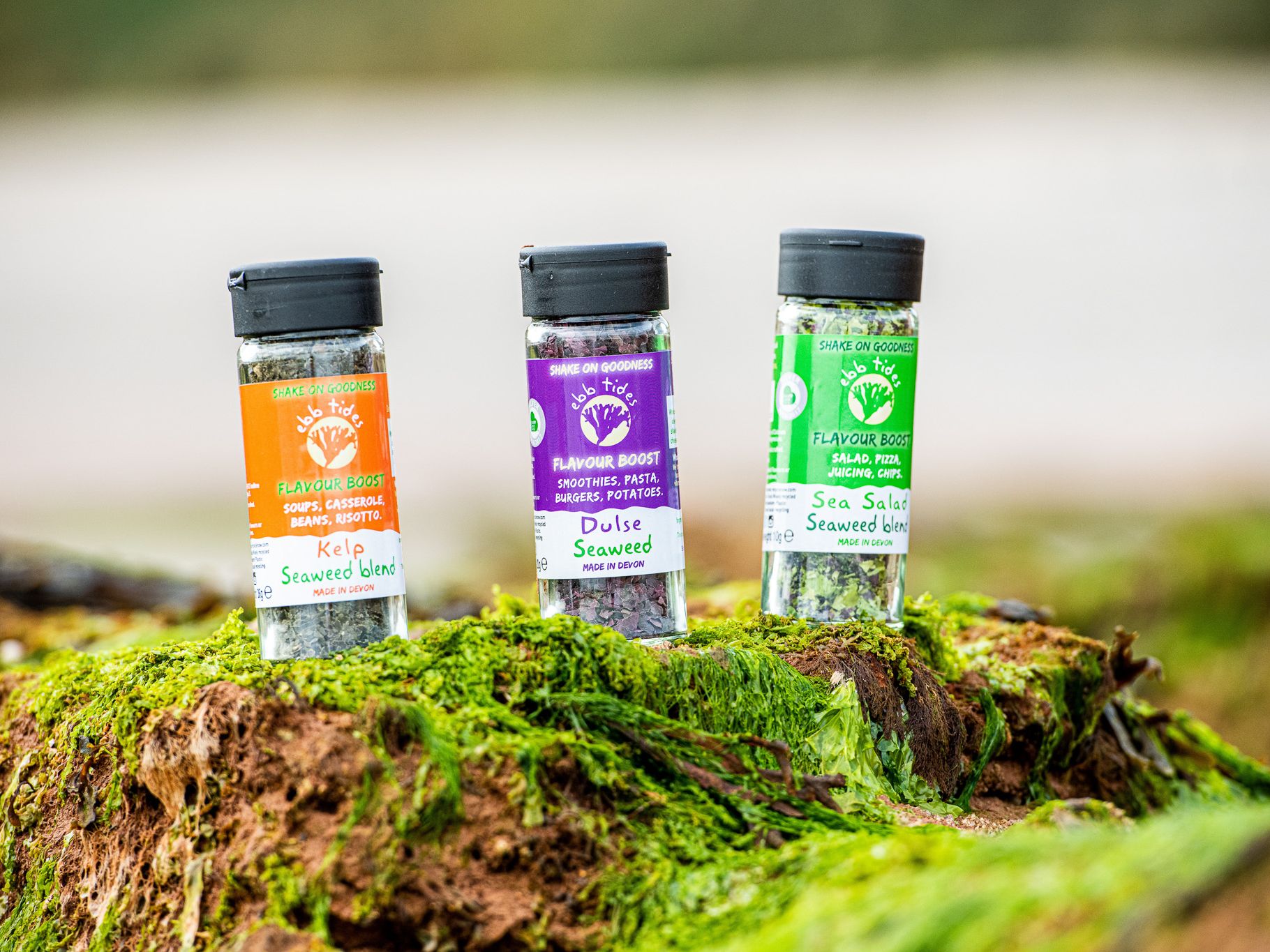 Ebb Tides Seaweed Shakers