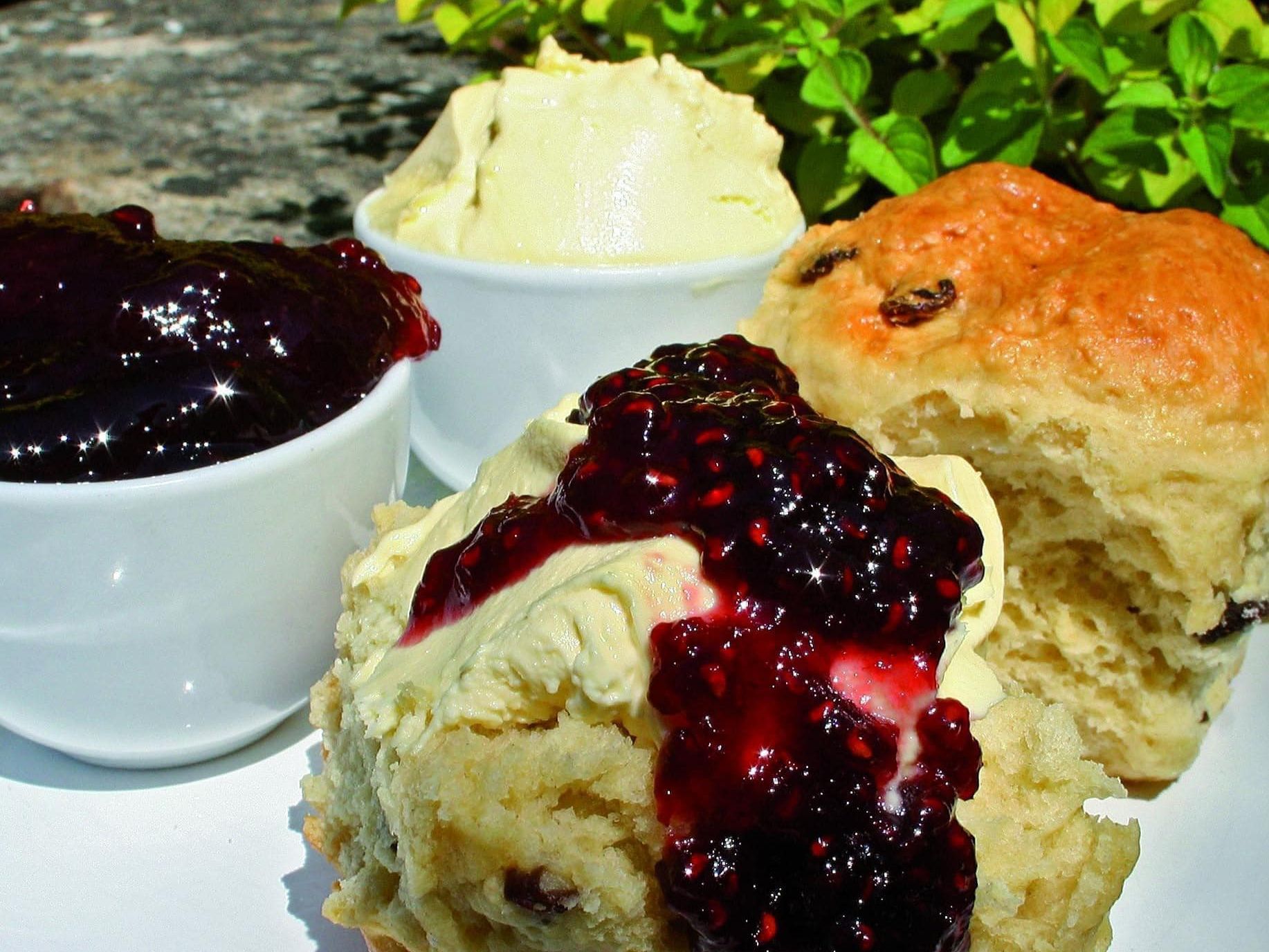 Otterton Mill Cream Tea