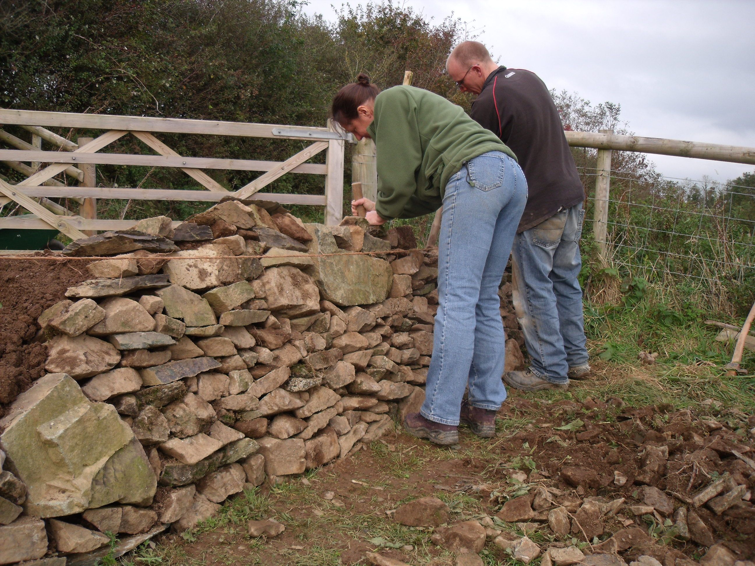 Husbandry School dry stone walling